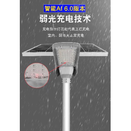 蓝海锂电池太阳能路灯